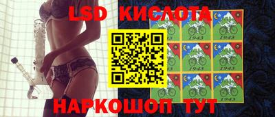 гидропоника Сланцы