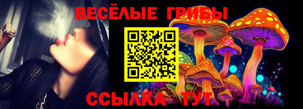 Псилоцибиновые грибы GOLDEN TEACHER Уссурийск