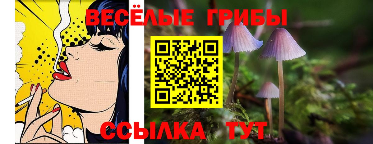 Уссурийск  Галлюциногенные грибы Cubensis  Вход с VPN 
